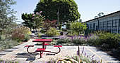 Santa Monica Airport Avenue Demonstration Gardens Santa Monica Airport Avenue Demonstration Gardens
